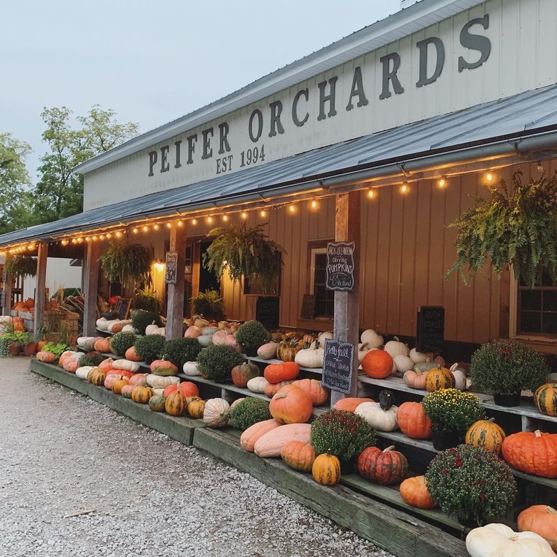 Peifer Orchards, Yellow Springs Peifer Orchards, Yellow Springs