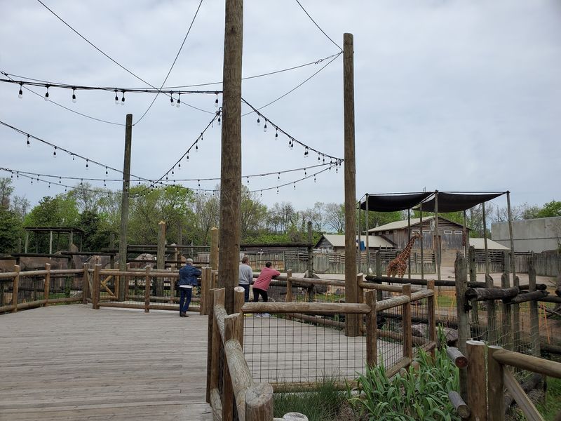 Perfect Activity for All Ages and Abilities Perfect Activity for All Ages and Abilities