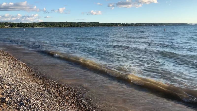 Petoskey: Fossils Are Easier to Find Than Deals