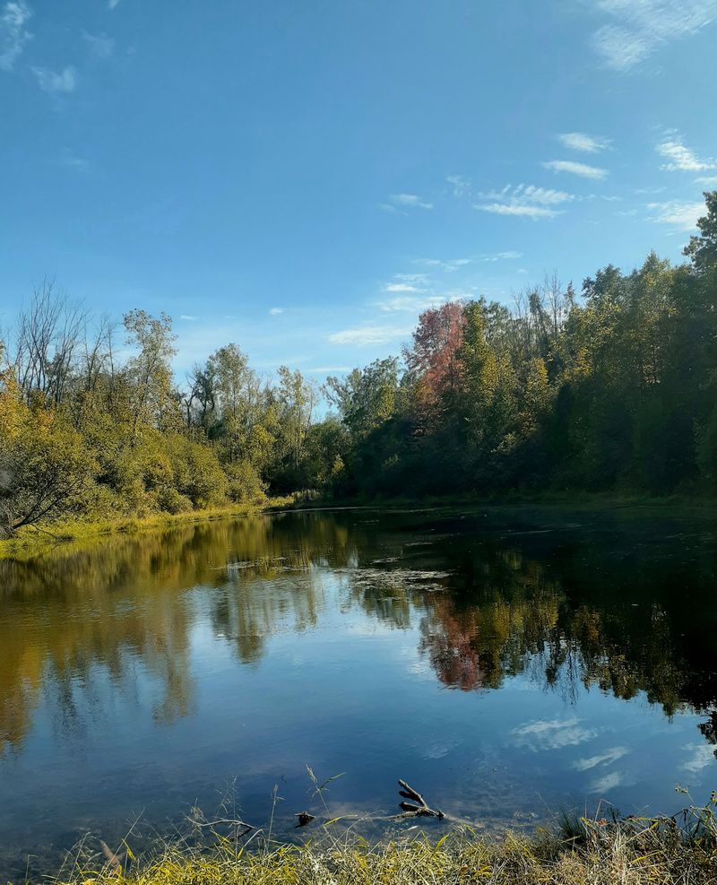 Petrifying Springs Park - Kenosha