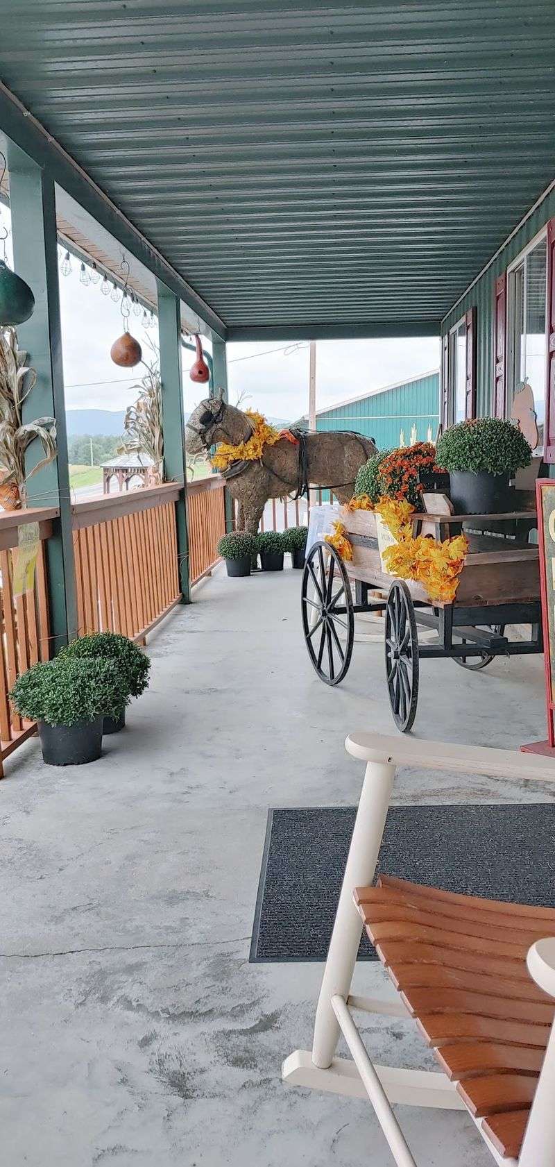 Pick-Your-Own Sunflowers Add Real Joy