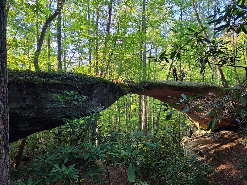 Pickett CCC Memorial State Park, Jamestown