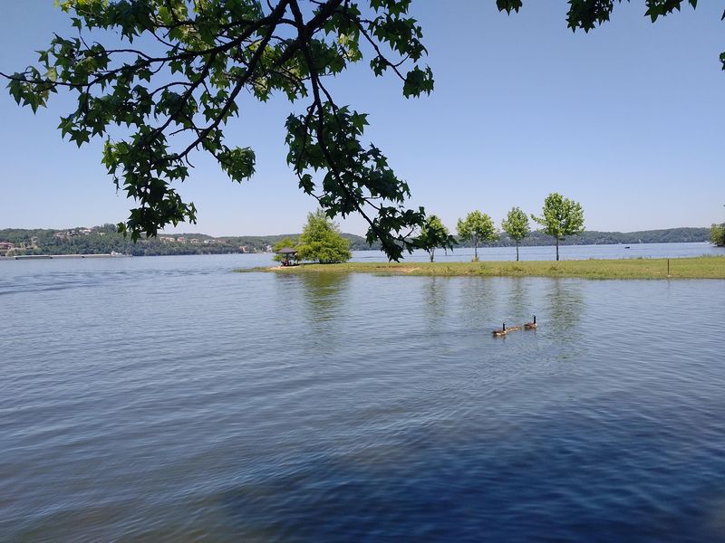 Pickwick Landing - Counce