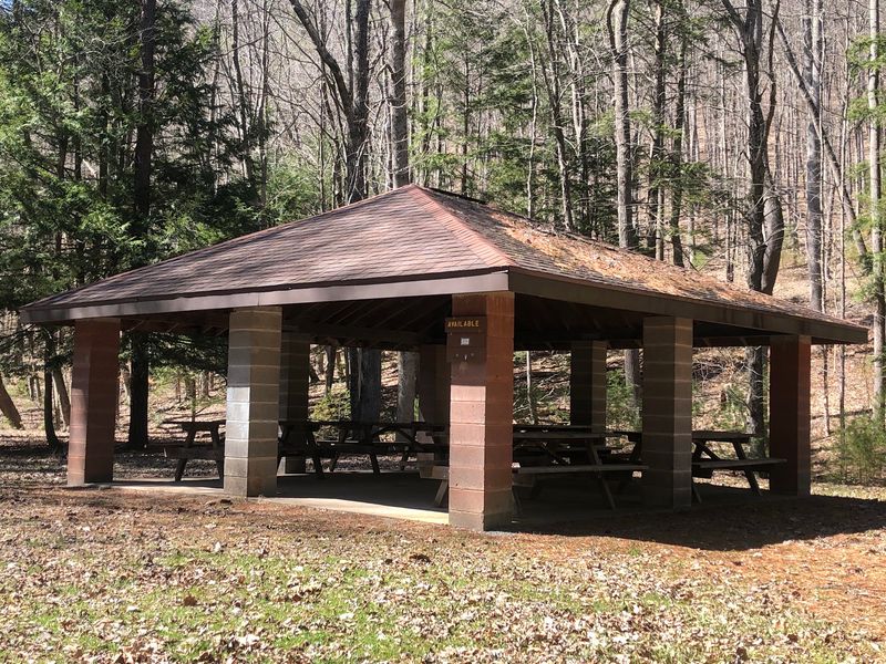 Picnic Areas Make Slow Afternoons Easy Picnic Areas Make Slow Afternoons Easy