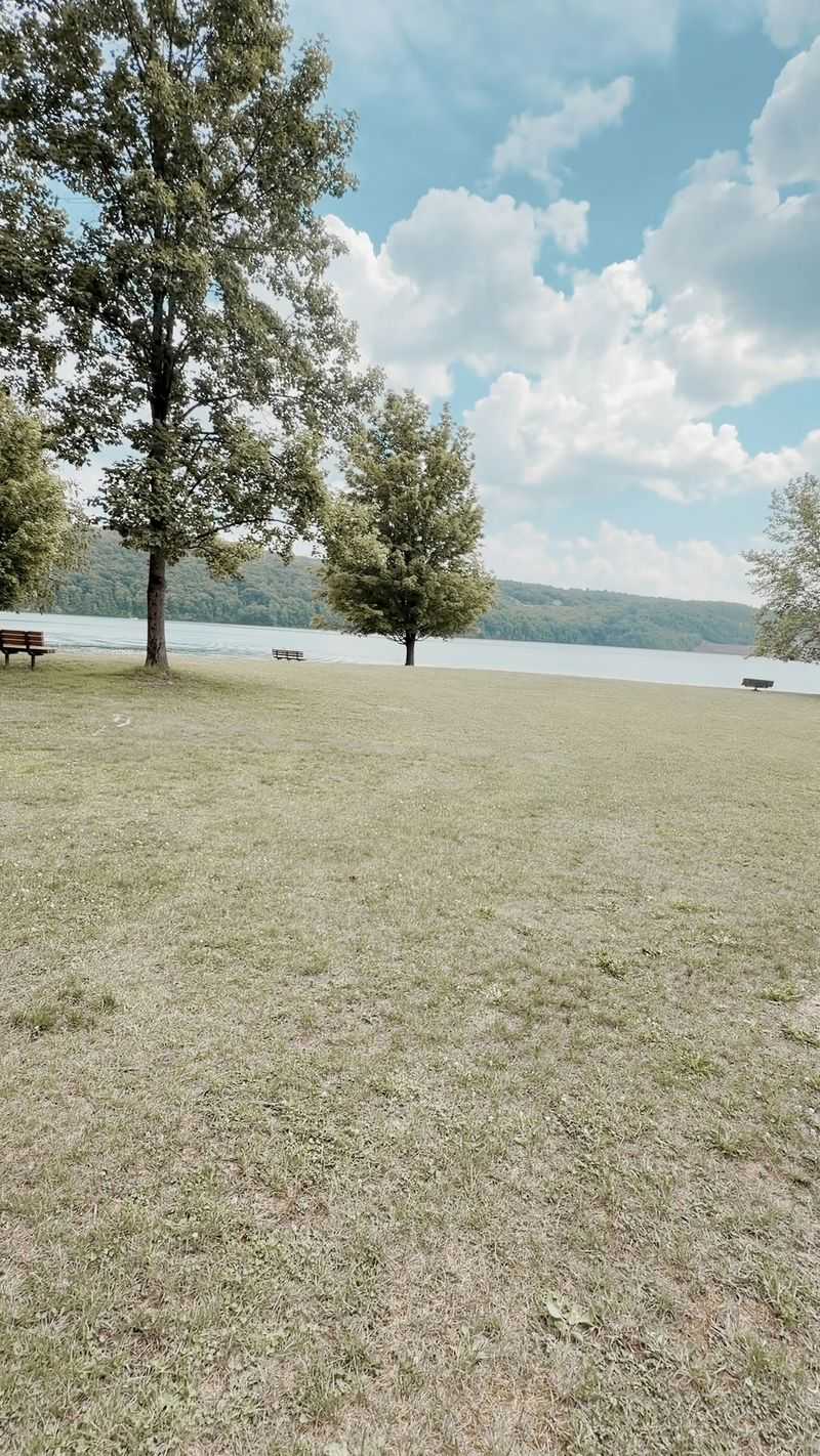 Picnic Tables, Grills, And Room For A Family Feast