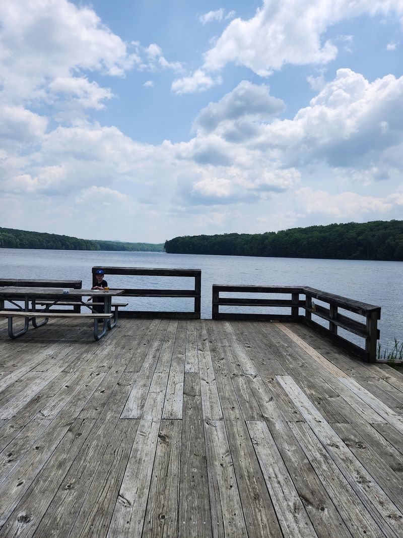 Picnics Come With Big Views