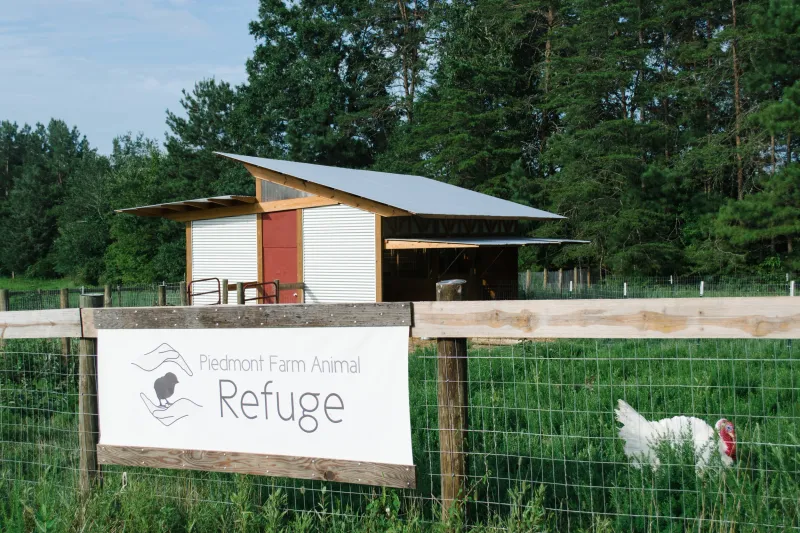 Piedmont Farm Animal Refuge - Pittsboro Piedmont Farm Animal Refuge - Pittsboro