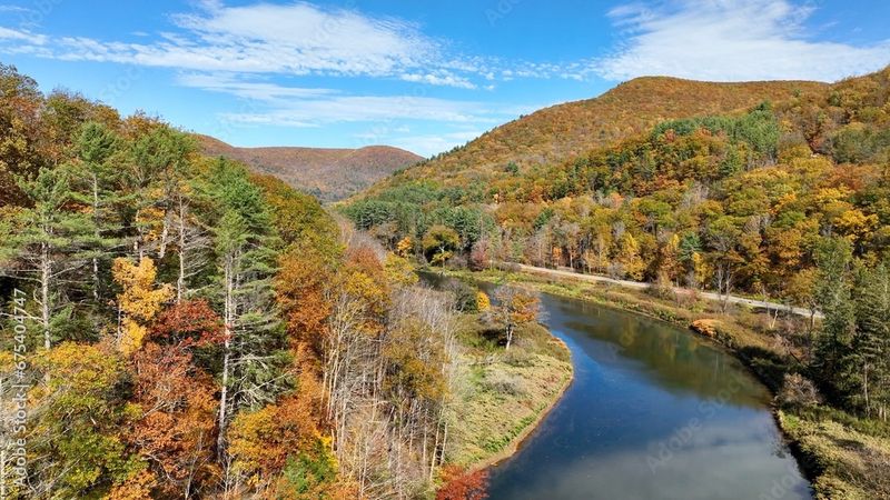 Pine Creek Gorge (Watson Township) Pine Creek Gorge (Watson Township)