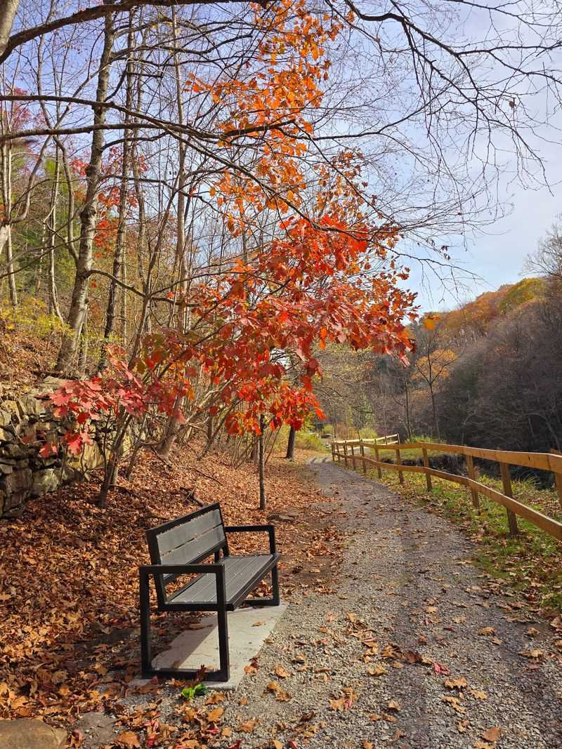 Piney Creek Gorge