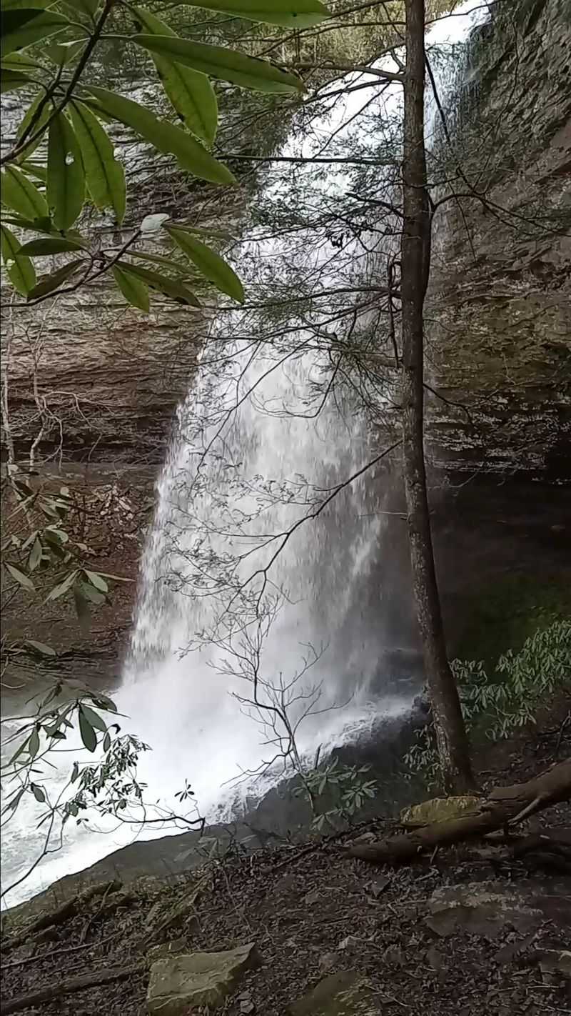 Piney Falls State Natural Area - Grandview