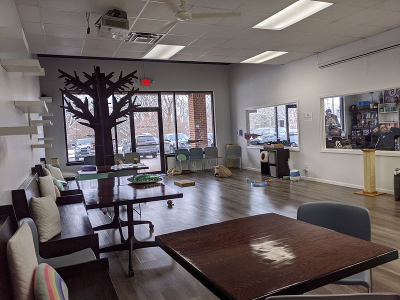 Plan Your Cedar Street Visit Around the Clock Plan Your Cedar Street Visit Around the Clock