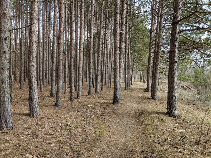 Plan for Hunters, Shorter Days, and Sandy Roads