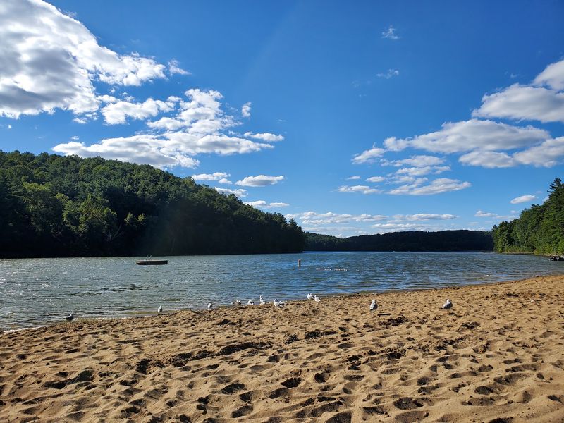 Planning Your Visit to Tappan Lake Park