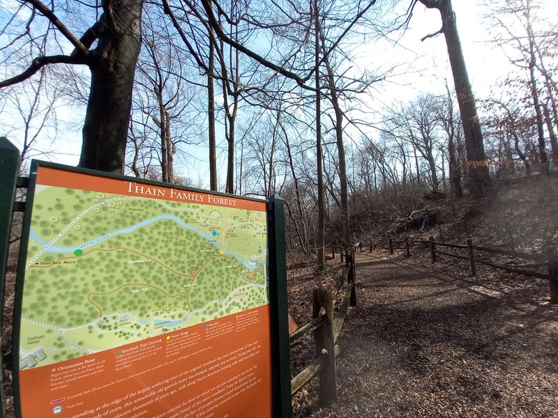 Planning Your Visit to Thain Family Forest Planning Your Visit to Thain Family Forest