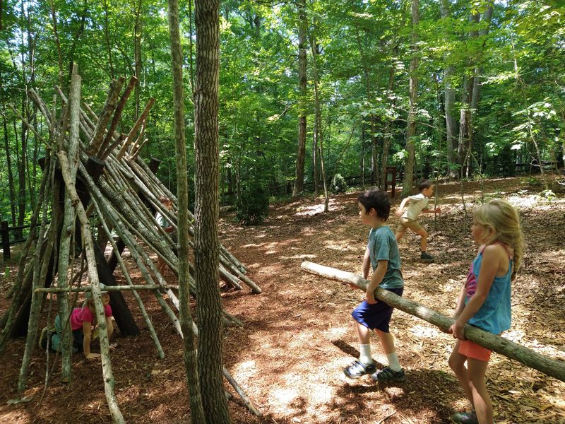 Playing Woods at The North Carolina Arboretum, Asheville Playing Woods at The North Carolina Arboretum, Asheville