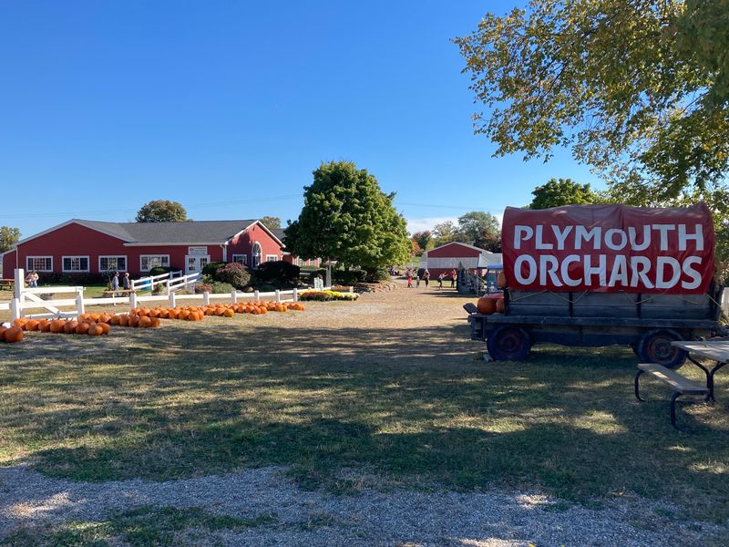 Plymouth Orchards & Cider Mill - Plymouth Plymouth Orchards & Cider Mill - Plymouth