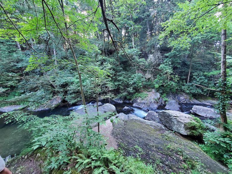 Pohopoco Creek Adds A Quiet Trout Stream Twist