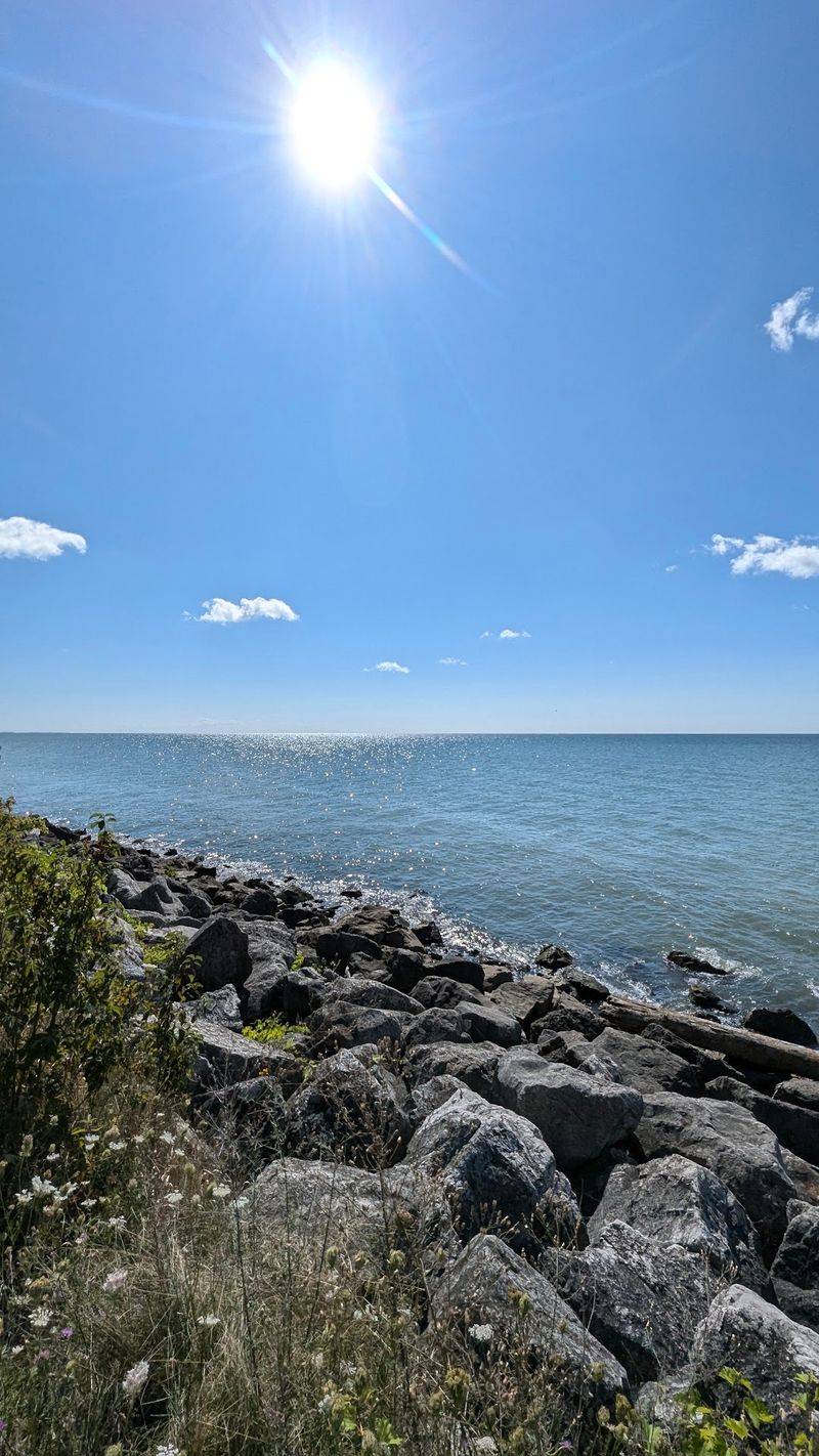 Pointe Mouillee State Game Area, Rockwood: Shorebird Country on Lake Erie Pointe Mouillee State Game Area, Rockwood: Shorebird Country on Lake Erie