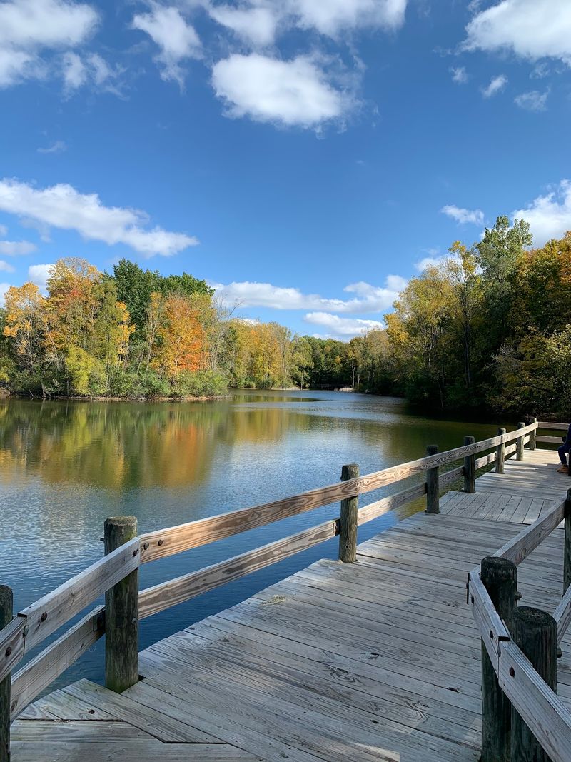 Pond Views, Birds, and the Softer Side of the Route Pond Views, Birds, and the Softer Side of the Route
