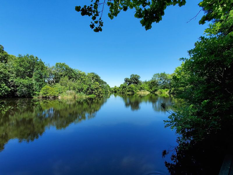 Pontoon Boat Tours Through Hidden Waterways Pontoon Boat Tours Through Hidden Waterways