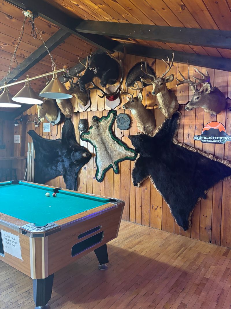 Pool Tables Change the Pace