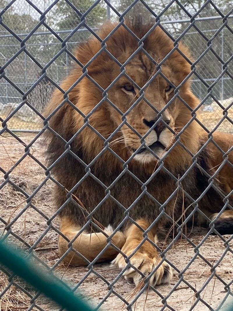 Popcorn Park Animal Refuge - Forked River Popcorn Park Animal Refuge - Forked River