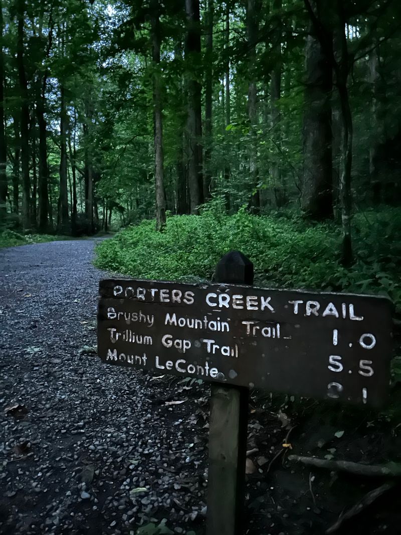Porters Creek Trail, Gatlinburg Porters Creek Trail, Gatlinburg