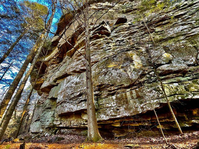 Possum Creek Gorge
