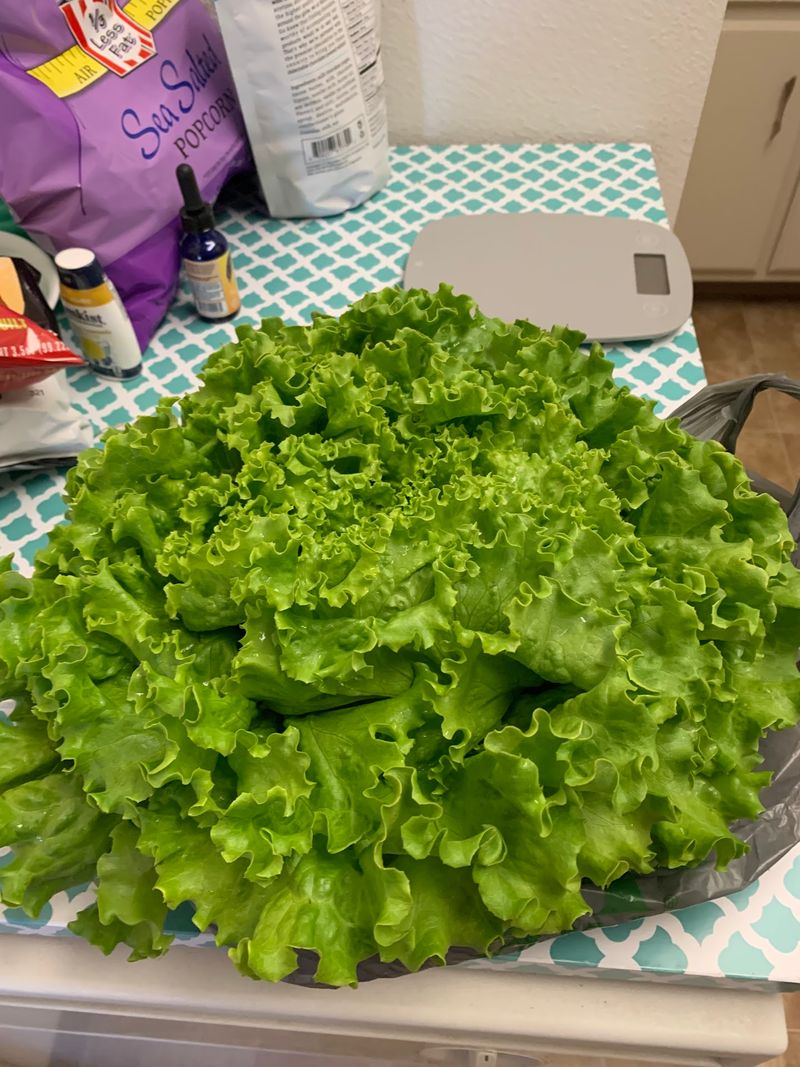 Produce That Looks Too Good to Be Real