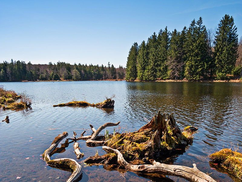 Promised Land State Park, Greentown