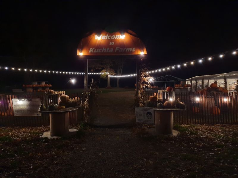 Pumpkin Donuts Steal the Spotlight Pumpkin Donuts Steal the Spotlight