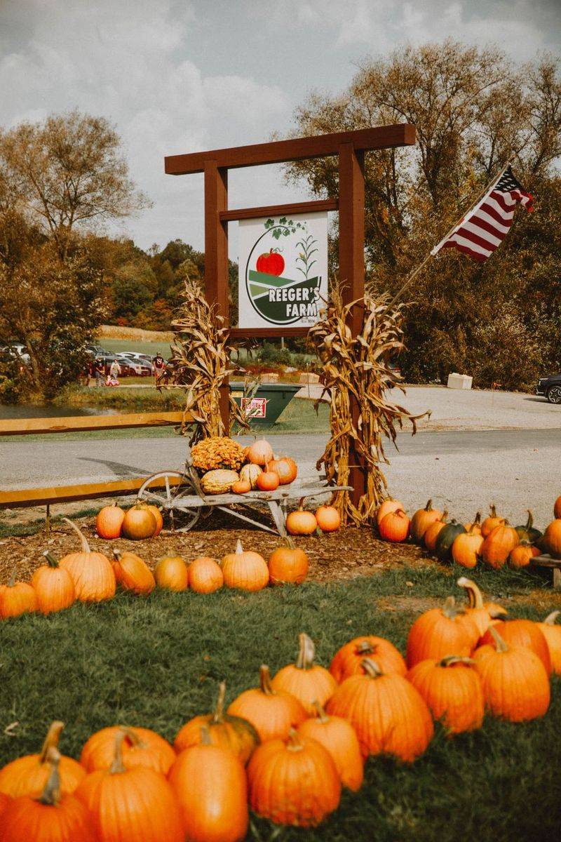 Pumpkin Festival at Reeger's Farm - Shelocta