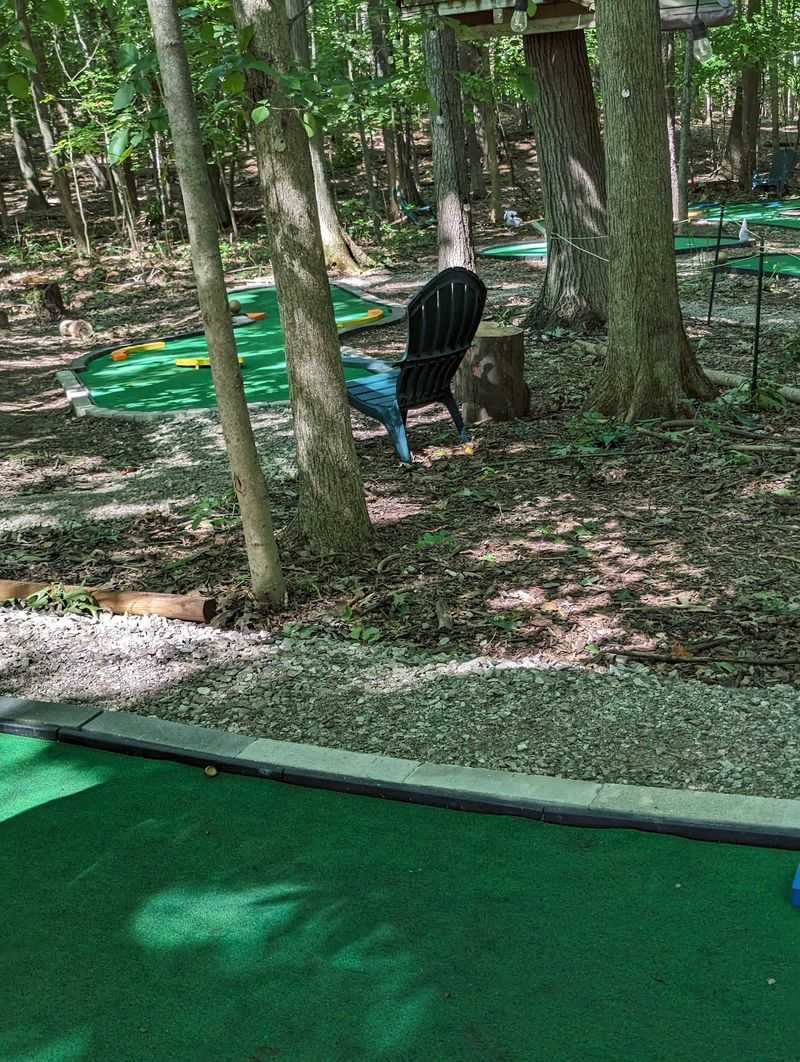 Putt Forest Slows the Pace in the Best Way