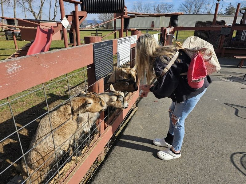 Pygmy Goat Petting Zoo - Intercourse Pygmy Goat Petting Zoo - Intercourse