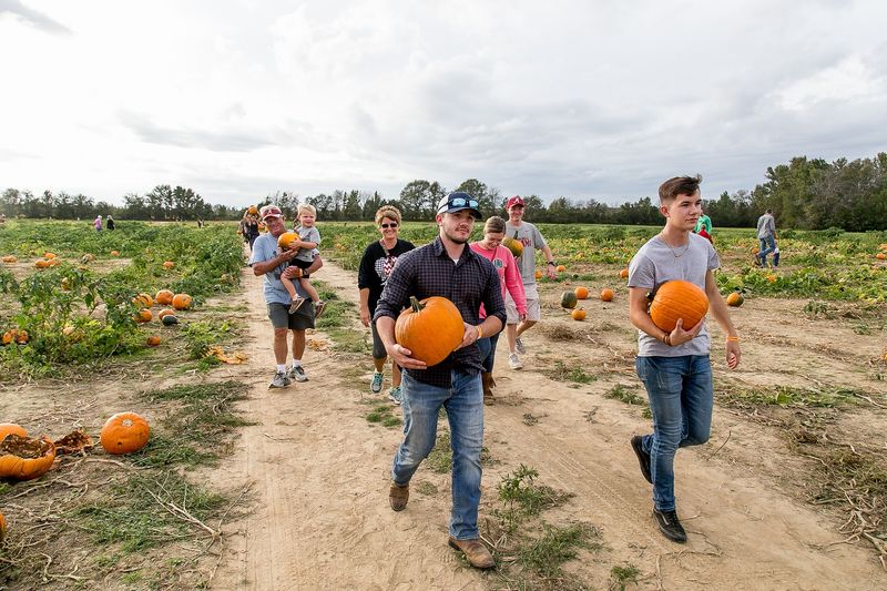 Lyon Family Farms – Taft Lyon Family Farms – Taft