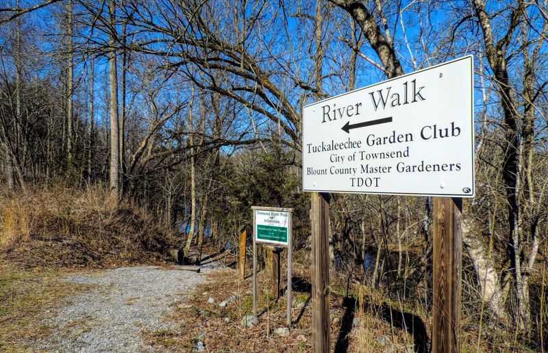 Quiet Walkways Of The Townsend Trail