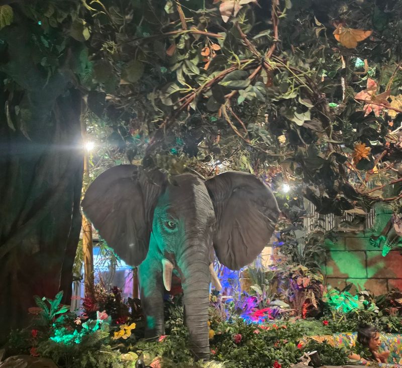 Rainforest Cafe Rainforest Cafe