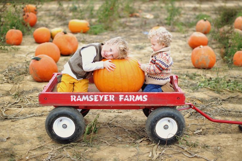 Ramseyer Farms, Wooster Ramseyer Farms, Wooster