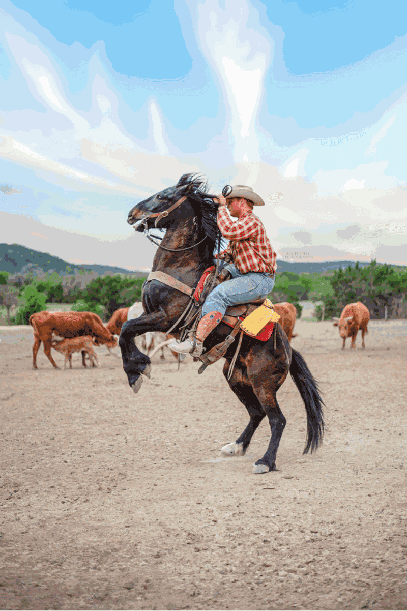 Rancho Cortez (Bandera) Rancho Cortez (Bandera)