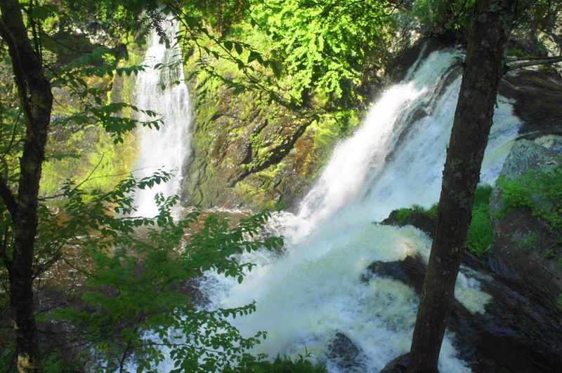 Raymondskill Falls Trail in Delaware Water Gap