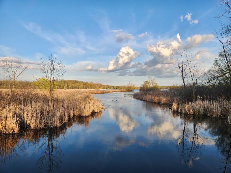 Reeds Lake: A City Escape Minutes From Downtown Reeds Lake: A City Escape Minutes From Downtown