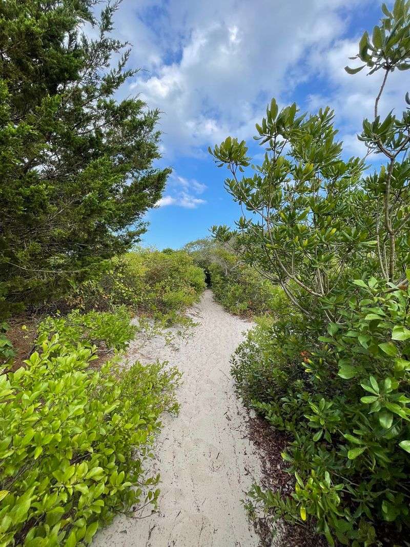 Reed's Road Trail - Island Beach State Park, Berkeley Township Reed's Road Trail - Island Beach State Park, Berkeley Township