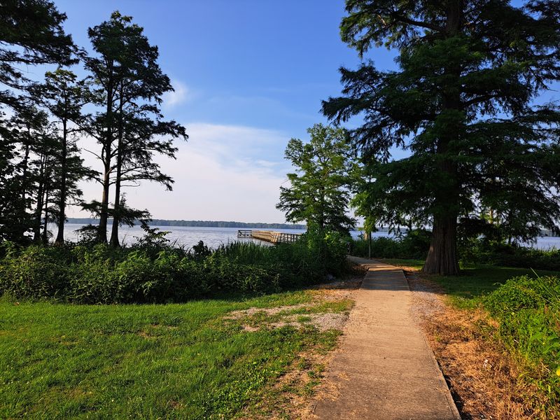 Reelfoot Lake State Park, Tiptonville Reelfoot Lake State Park, Tiptonville