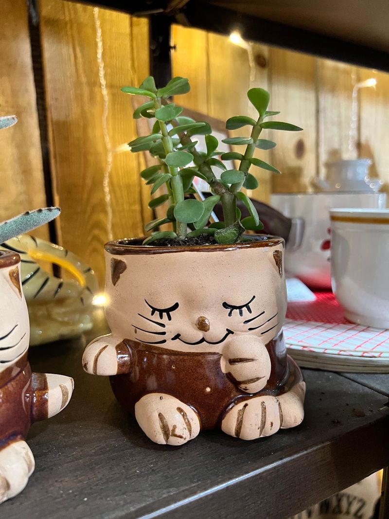 Retro Decor, Furniture, Clothing, and Unexpected Finds Retro Decor, Furniture, Clothing, and Unexpected Finds