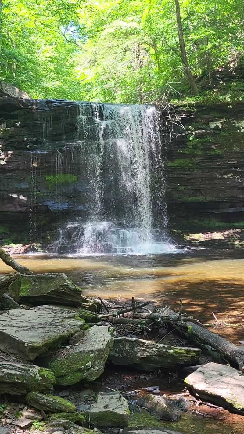 Ricketts Glen Falls Trail, Benton and Luzerne County Ricketts Glen Falls Trail, Benton and Luzerne County