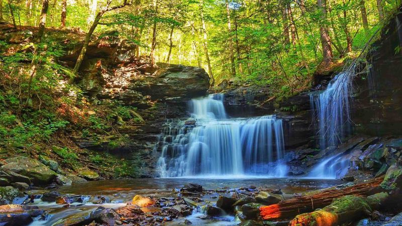 Ricketts Glen State Park - Benton