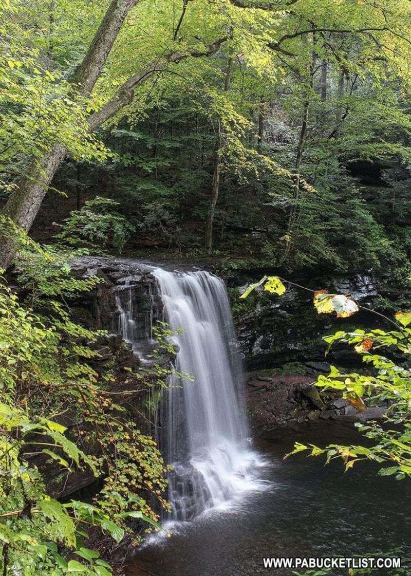 Ricketts Glen State Park, Benton Ricketts Glen State Park, Benton
