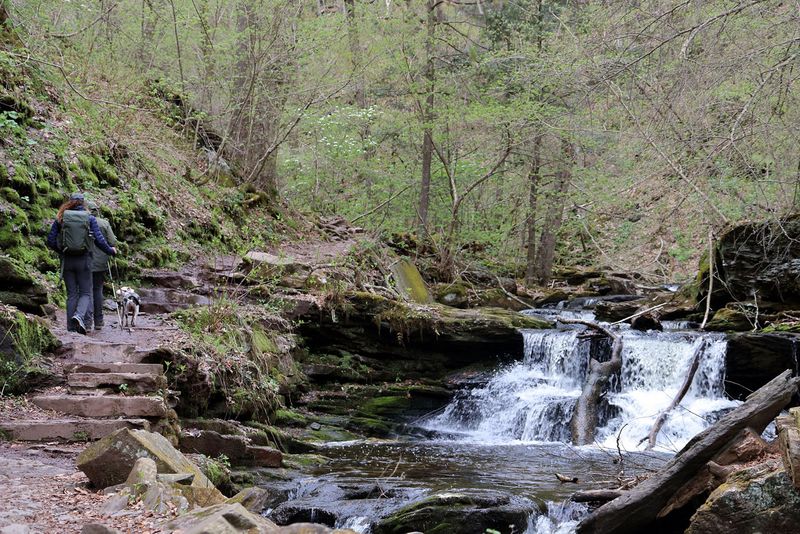 Ricketts Glen State Park (Benton) Ricketts Glen State Park (Benton)