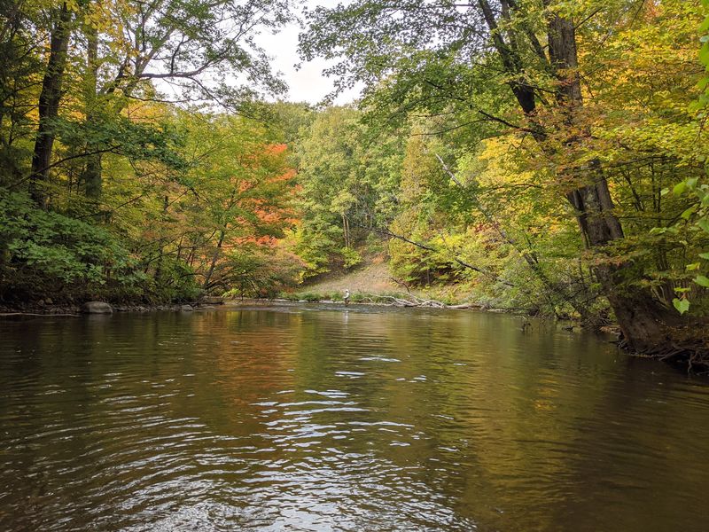 River Corridors Add a Different Kind of View