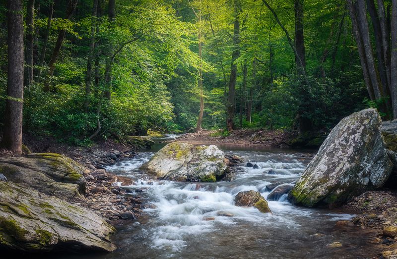 Riverside Trail, Roan Mountain